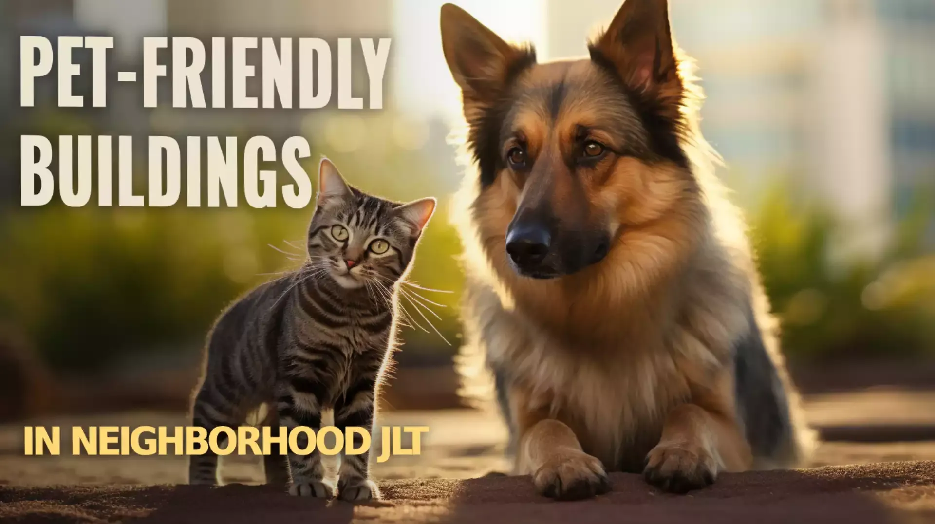 Joyful pets in front of Pet-Friendly Buildings in JLT