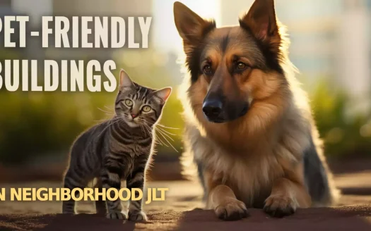 Pet-Friendly Buildings in Neighborhood JLT