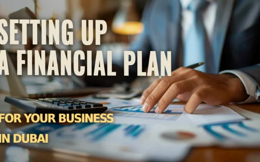 Setting Up a Financial Plan for Your Business in Dubai