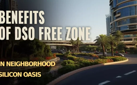 Benefits of DSO Free Zone in Neighborhood Silicon Oasis