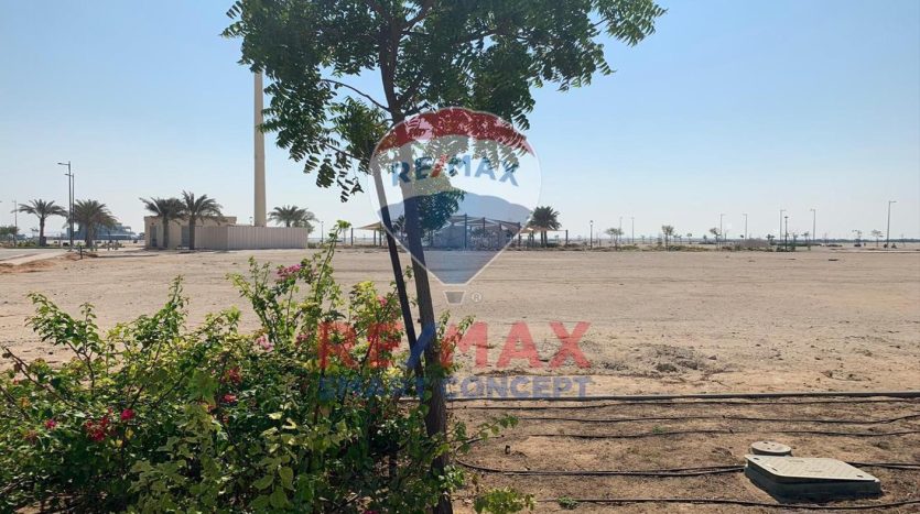Land plot on Nareel Island, Abu-Dhabi, 1767 m2  | Foto 4