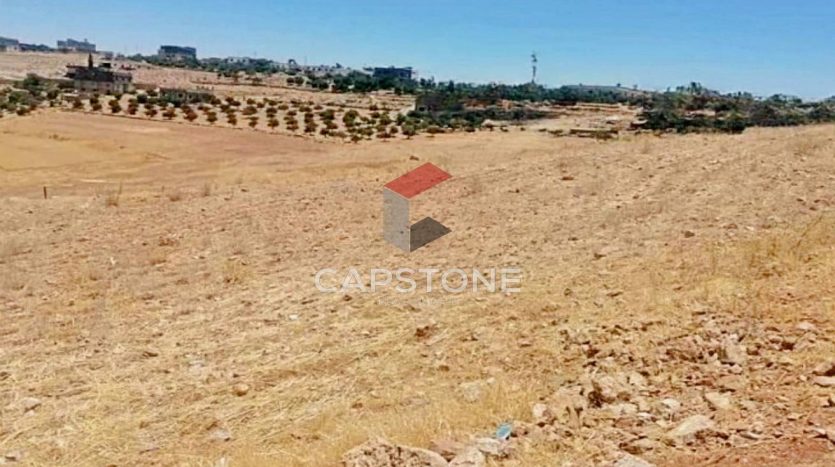 Land plot on Mohamed Bin Zayed City, Abu-Dhabi, 20000 m2  | Foto 4