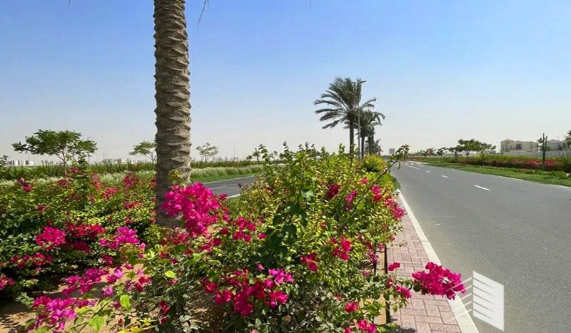 Land plot on Palm Jebel Ali, Dubai, 1717.4 m2  | Foto 2