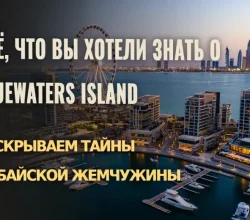 Узнайте всё о жизни и недвижимости на острове Bluewaters